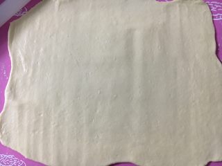 19、手撕椰蓉吐司,面团按压排气，擀开成长方形的面皮