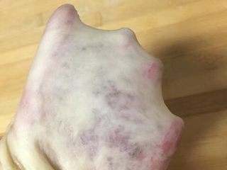 10、蜂蜜小面包,揉面程序结束后，面团能扯出薄膜为准