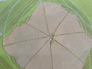 20、腊肠牛角包,切米字，分8份。