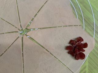 21、腊肠牛角包,外圆边上放入腊肠碎。