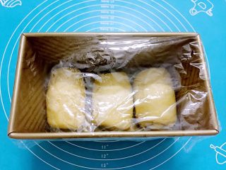 12、原味吐司,放进模具中，盖上保鲜膜放温暖处发酵