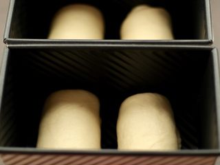 21、港式吐司,入模，放在烤箱发酵，放热水确保湿度