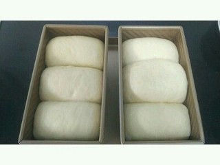 11、蜜豆椰蓉吐司,发酵到8分满