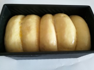 11、土司面包,发酵至九分满。表面刷蛋液