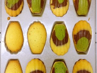 11、三色法式玛德琳蛋糕,烤好的玛德琳没有开花，也鼓得很好看，表面上色很均匀，颜色很漂亮