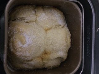 11、椰蓉吐司,看发酵情况，大约两小时后面团发至8成，在上端涂少许剩余蛋液，然后撒上少许椰蓉