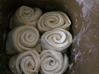 10、椰蓉吐司,六个卷好的面卷放回面包机中继续发酵