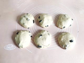 7、一次性发酵葡萄干椰子油白吐司,立即均分6份，团成圆形