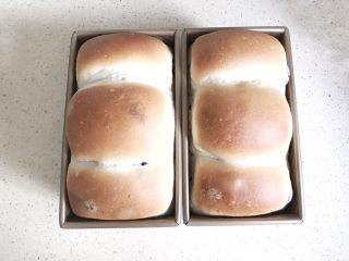 12、一次性发酵葡萄干椰子油白吐司,出炉后，震一下模具，立即倒出吐司，侧卧放凉