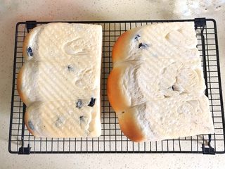 13、一次性发酵葡萄干椰子油白吐司,侧卧图：刚刚出炉的吐司，还不稳定，等放凉后再进行其他操作