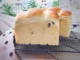 17、一次性发酵葡萄干椰子油白吐司,正品图：阳光下的吐司君多帅啊