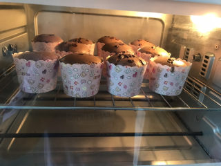 19、巧克力纸杯蛋糕????,看着它们慢慢长大的过程很治愈