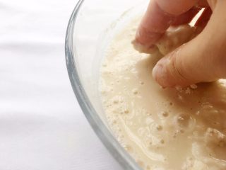 3、法式蓝带面包,先将酵母融化,再将盐混合揉进面团里;