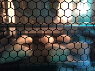 12、淡奶油软欧包,送进烤箱进行发酵，在烤网上放一碗温水，保持湿度