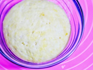 9、奶香小馒头【无水无油平底锅版】,放在温暖的地方发酵至原来的两倍大。（我放在电炉子旁边，半个小时就变很大了。）