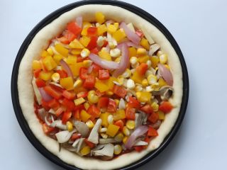 17、鸡肉蔬菜披萨,然后再撒100克芝士条，然后再把之前先蒸好的蔬菜铺在上面