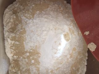 3、大白馒头,倒入酵母