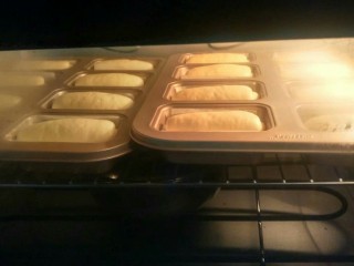 7、纯牛奶小吐司,全部做好置烤箱二次发酵到两倍大