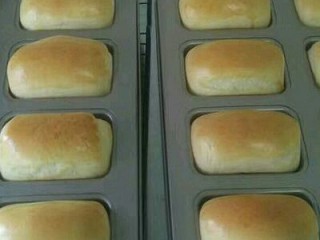 9、纯牛奶小吐司,170°中层烤制15分钟即可