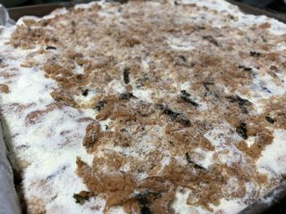 23、新晋咸口网红——海苔肉松咸蛋黄雪花酥,满满的肉松,超好味!