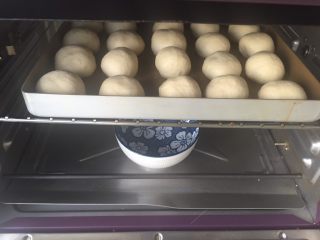 10、mini小餐包,放入烤箱，烤箱里放碗热水。关门二次发酵。