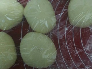 7、金黄色的花瓣雨,取出面团，排气，分剂8个，揉圆，盖保鲜膜松弛15分钟