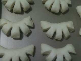 11、金黄色的花瓣雨,全部做好放入烤盘二次发酵到两倍大小