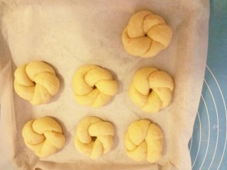 13、胡萝卜小餐包,全部做好后放入烤箱进行二次发酵，我的烤箱不带发酵功能，只好在下边放杯开水，既保温，又保湿，（水凉了换，我换了三次）只做参考