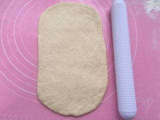 5、葡萄干小吐司,擀成宽15，长24cm左右的长方形