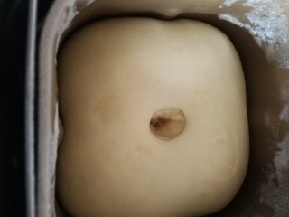 3、红豆沙小餐包,放在面包桶发酵至2.5倍大