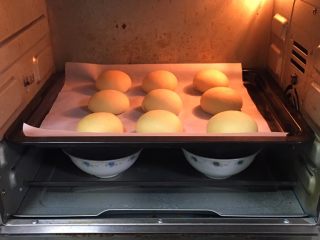 19、喜饼+椰蓉奶酪味,烤盘送入烤箱两次发酵，方法同上也是60分钟。