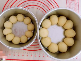 13、牛奶软包,盖上保鲜膜进行二次发酵