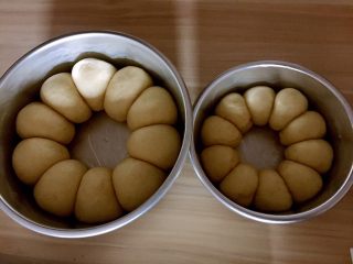 14、牛奶软包,发酵好的面包坯