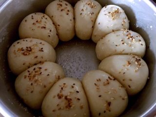 16、牛奶软包,撒上白芝麻