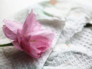 4、樱花草莓慕斯,樱花洗净吸干水分，主要是用来装饰，最后并没有吃，其实是可以食用的。