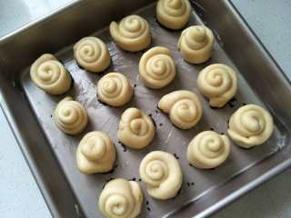 10、蜂蜜脆底小面包,将面卷整齐的排放在烤盘中。盖上保鲜膜,放温暖处进行第二次发酵