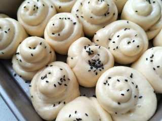 11、蜂蜜脆底小面包,当面团发酵至两倍大时,用毛刷在表面刷上一层蛋白液,撒上一些黑芝麻