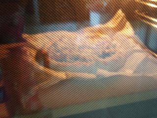 19、鸡肉海鲜披萨,19.放入预热好的烤箱中,250度上下火,烤9分钟左右,烤到披萨表面四周金黄,奶酪丝熔化即可。