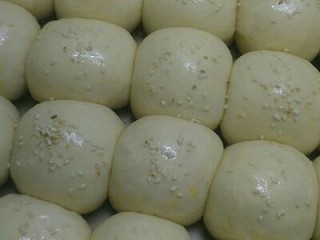 12、芝麻餐包,刷全蛋液撒一层熟芝麻