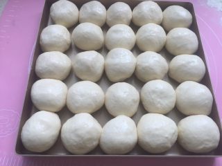 11、mini小餐包,发到1.5倍大，拿出涂上稀释的蛋黄液，烤箱预热上下火175度。