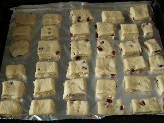 18、≈蔓越莓酸奶小方面包≈,摆入烤盘中，放入烤箱中进行二次发酵。烤箱里放一碗热水