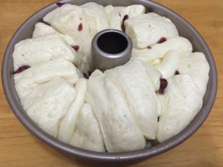 10、蔓越莓面包,不一小时后可发酵成两倍大小左右