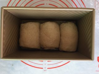 17、全麦吐司,放入吐司盒进行二发。