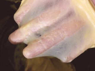 5、烘培之南瓜软欧包,启动面包机揉十分钟后加入黄油和盐在开启10分钟，出手套膜，一起用时20分钟