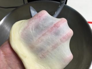7、基础白吐司(波兰种),检查面团已经揉至完全阶段,可以拉出手套膜