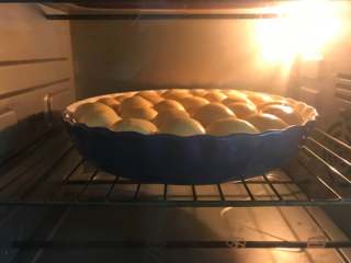 14、豆沙金钱小面包,放入预热好的烤箱,上下火,中层,180度,15分钟左右。