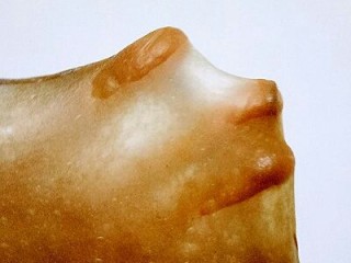 4、可可麻薯软欧包,取一小块面团,慢慢用手撑开,形成不易破的薄膜