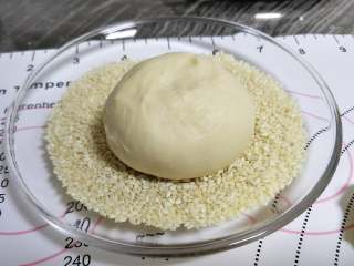 6、汉堡坯 做自己的汉堡,上表面粘上白芝麻。