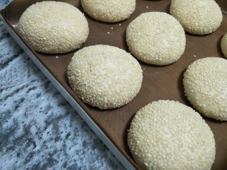 8、汉堡坯 做自己的汉堡,放置到温暖地方,大概1.5倍大,发酵完成。