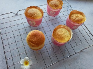 15、老式蛋糕纸杯版,成品